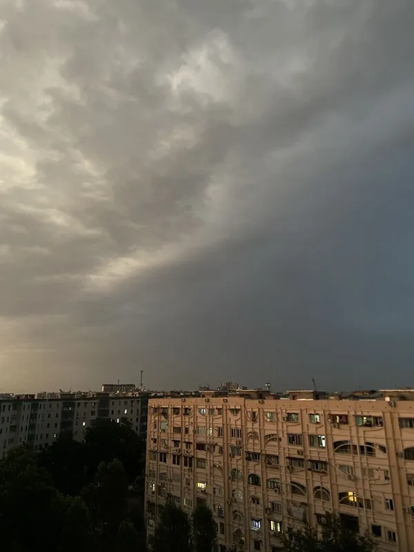Sebzorda ajoyib narxda Honadon sotiladi 10 Sebzorda ajoyib narxda Honadon sotiladi 10