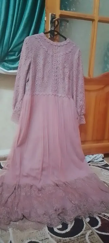 ayollar koʻylagi