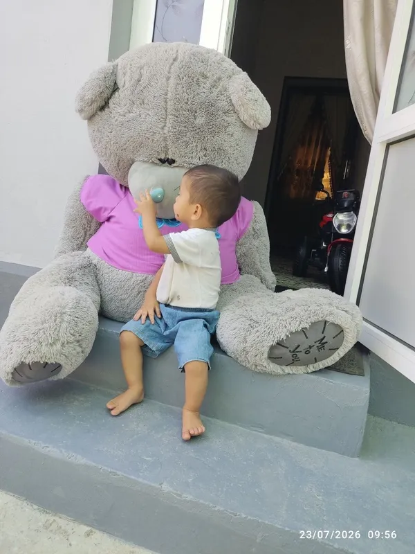 Katta ayiq teddy bear 3