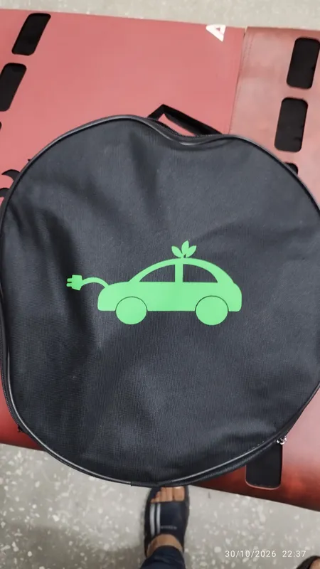 Zaryadchik Elektomobil 4