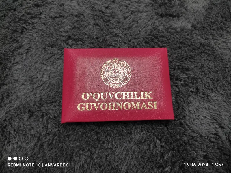 Удостоверение Школьника