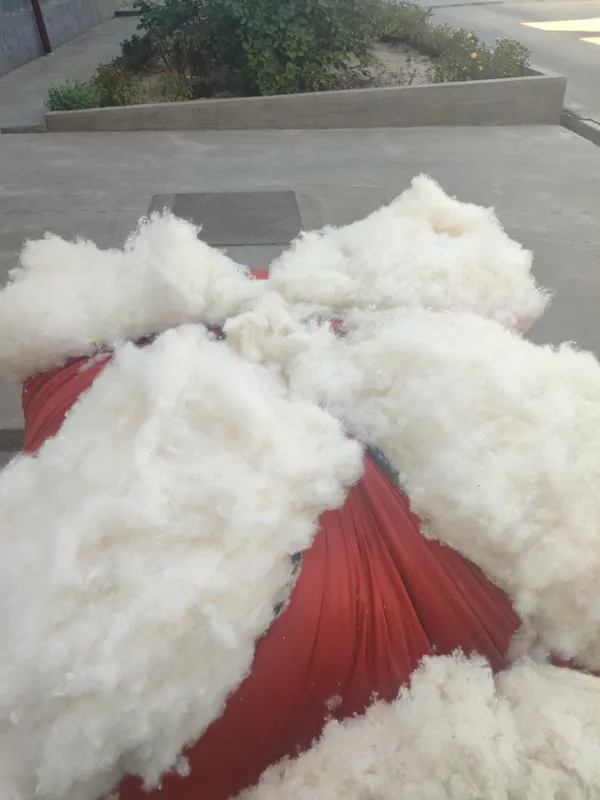 Paxta titish sexi 1-kg paxta 6000 soʻmdan Dastafka xizmat ham bor. 7