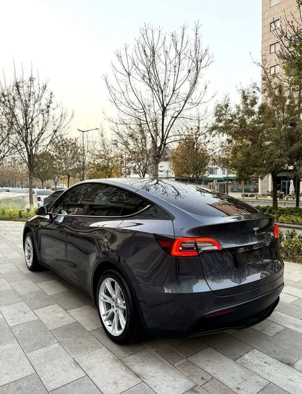 Tesla Model Y USA 2021/2022 2 Tesla Model Y USA 2021/2022 2