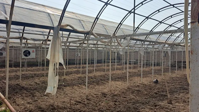 Теплица Парник 3 дона