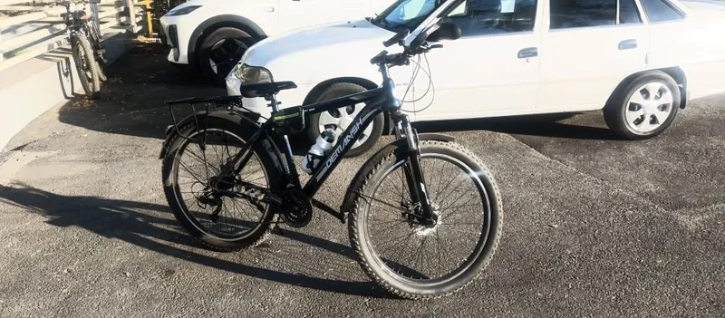 Demansh 26 velosppedi 4