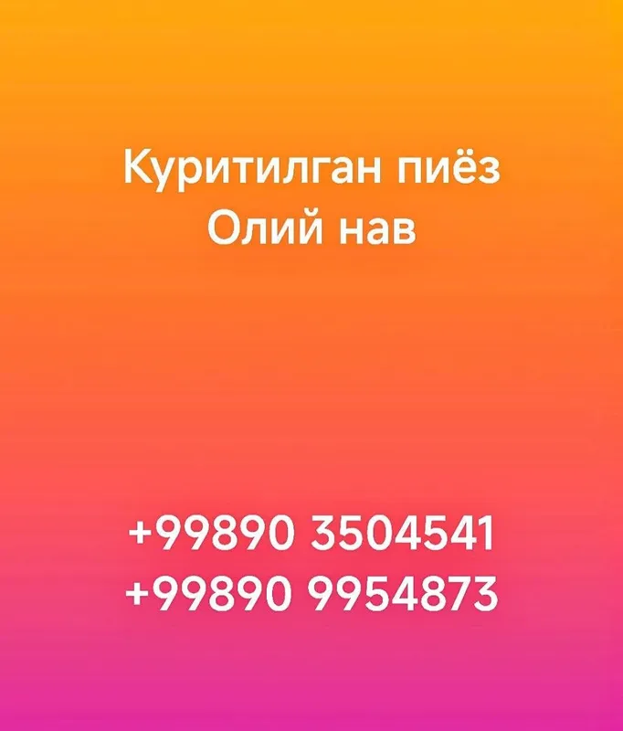 Пиёз куритилган Олий нав 2