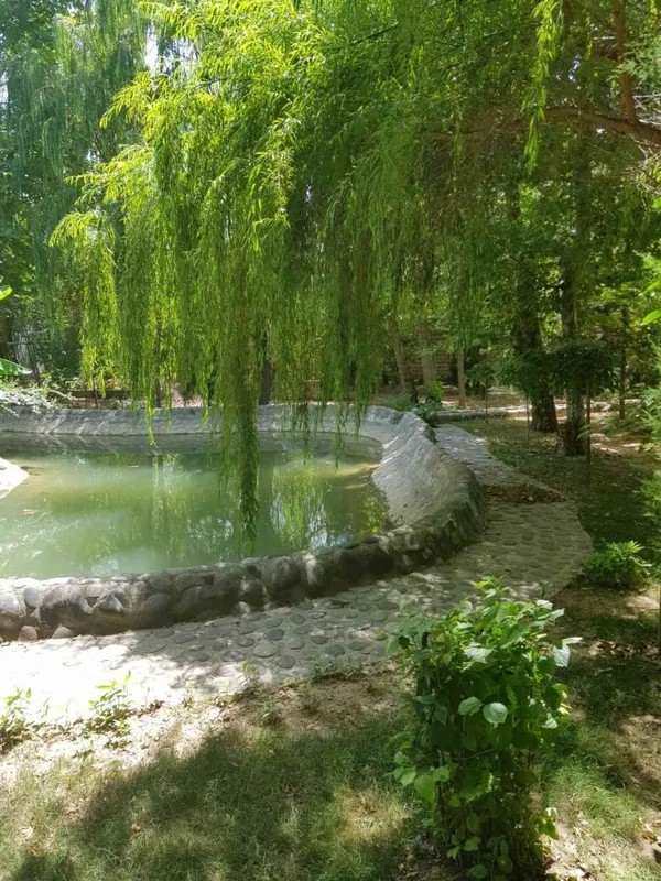 Чингельды. 1,3 гектара — фото 1