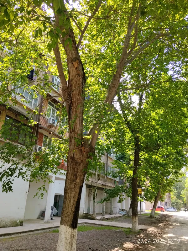 Продаётся или меняется квартира в Нурафшане. — фото 1