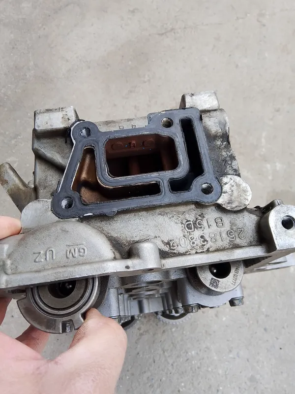 kobilt galofka sotilad xolat zor