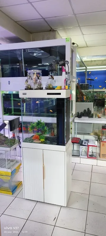 Akvariumlar barchasi bor