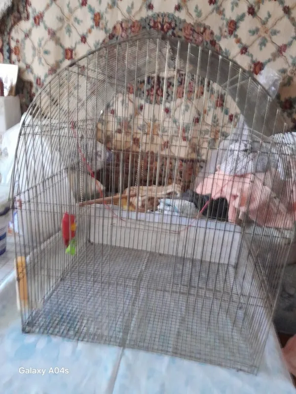 Клетка для птиц.
