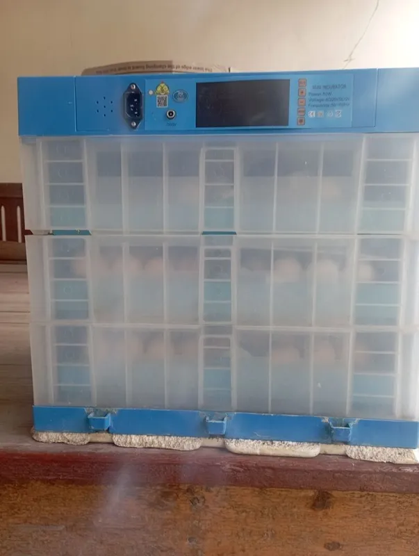 Inkubator aparat