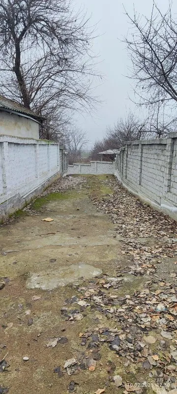 Земельный участок — фото 1