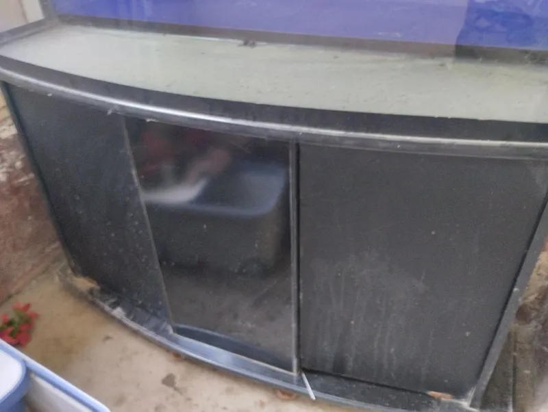 Akvarium 250 litrlik 3 Akvarium 250 litrlik 3