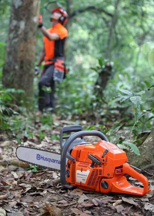 Benzinli arra benzinpila Husqvarna 365 SP Бензопила 3
