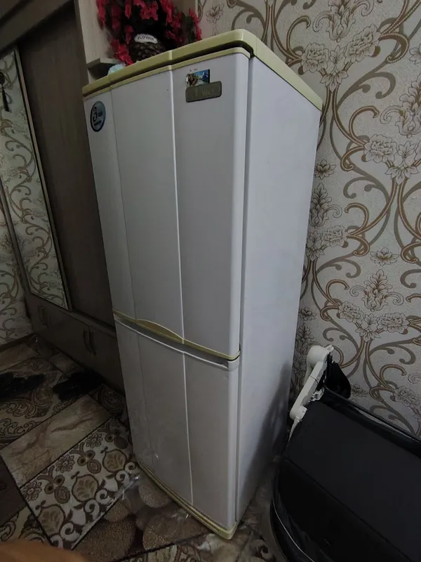 holodelnik Sino 1