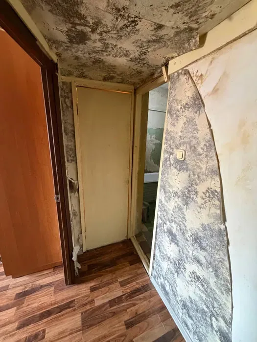 Продается квартира 2/9/9 м.Риезий Паркентский рын. — фото 4