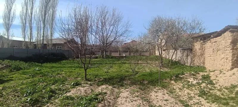 6 sotik yer sotiladi uch xona fundamenti bilan mevali daraxtlari bor — фото 2