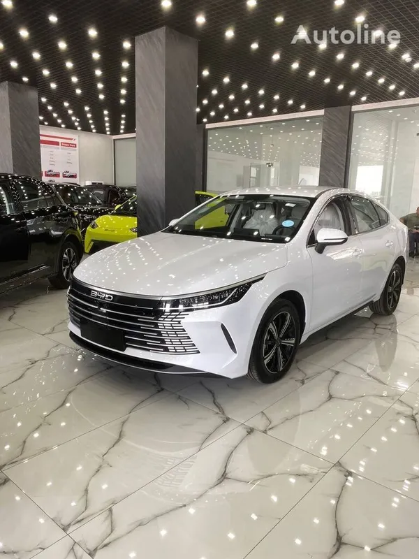 BYD Chazor Gibrid 1200km — фото 1