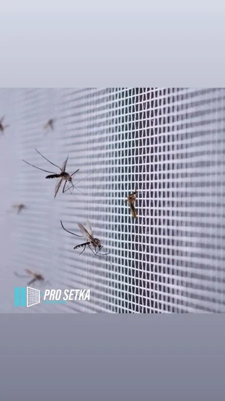 Moskit akfa setka | maskit oynaga setka o'rnatamiz Москитная сетка ‼️ — фото 6