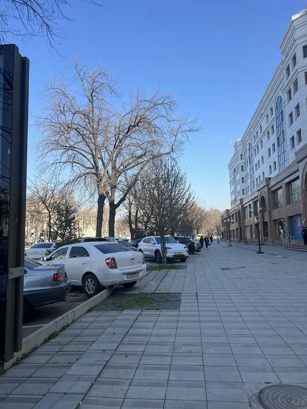 Сдается помещение в аренду, Шайхантахурский р-н, Ташкент сити — фото 1