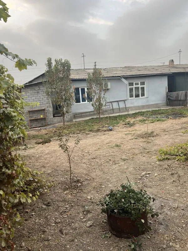 Продается дом в Зангиотинском районе Боз сув 3