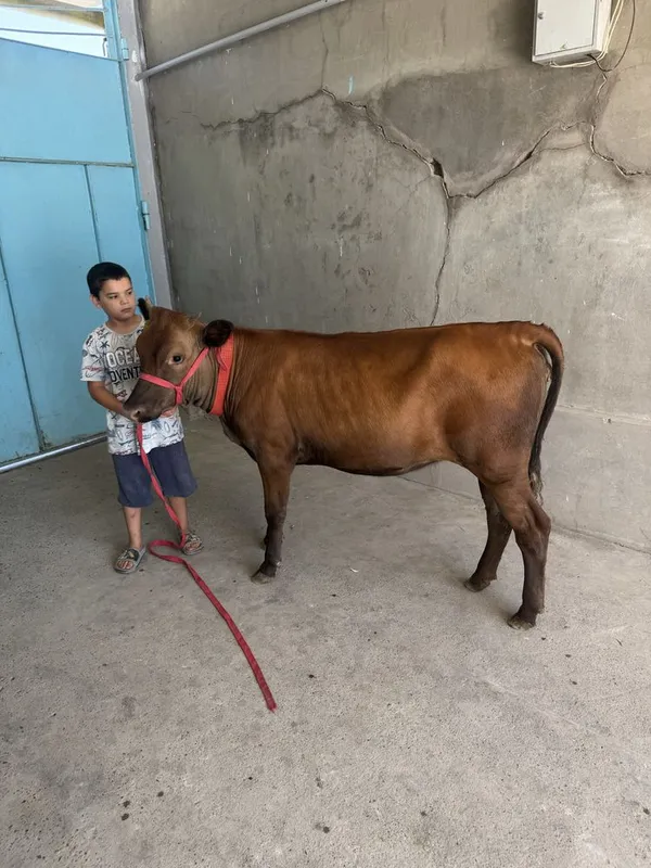G’unanim sotaldi paro’da 3 G’unanim sotaldi paro’da 3