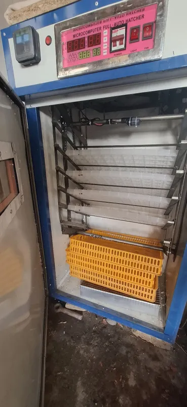 Incubator sotiladi — фото 1