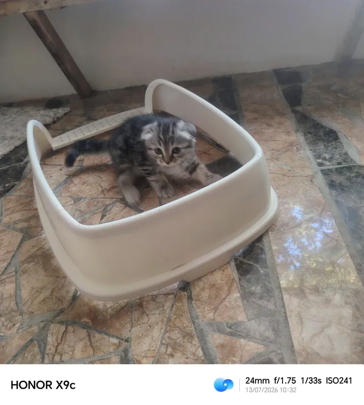 Zoti tozza manzil Navoiy shahar kelishamiz 2 Zoti tozza manzil Navoiy shahar kelishamiz 2