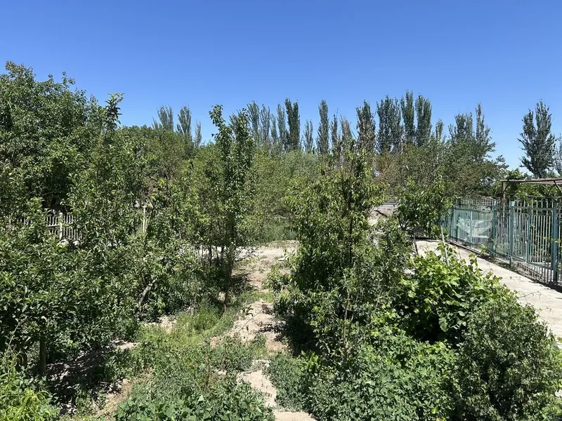 Урганч шахар Прогресс Обходной йулни буйинда жойлашган 420кв ховли жой 3 Урганч шахар Прогресс Обходной йулни буйинда жойлашган 420кв ховли жой 3