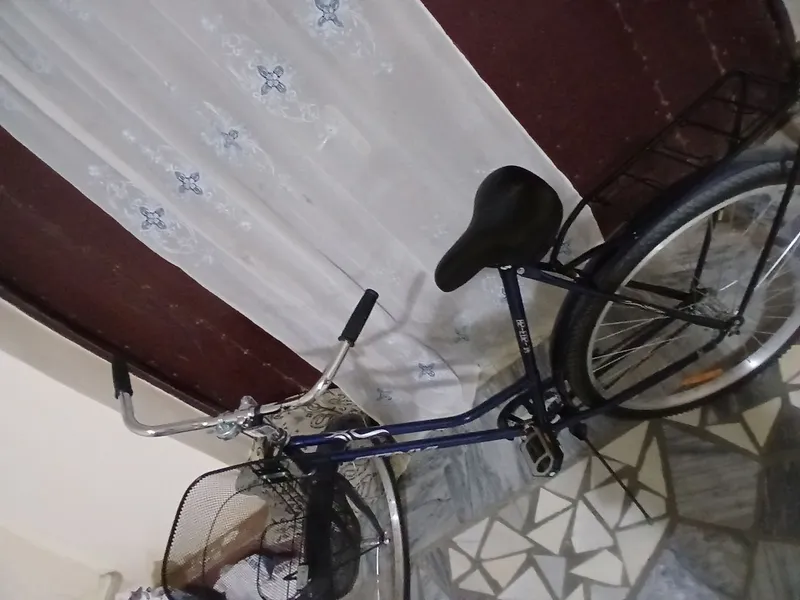 Velosiped "Bonvi" 3
