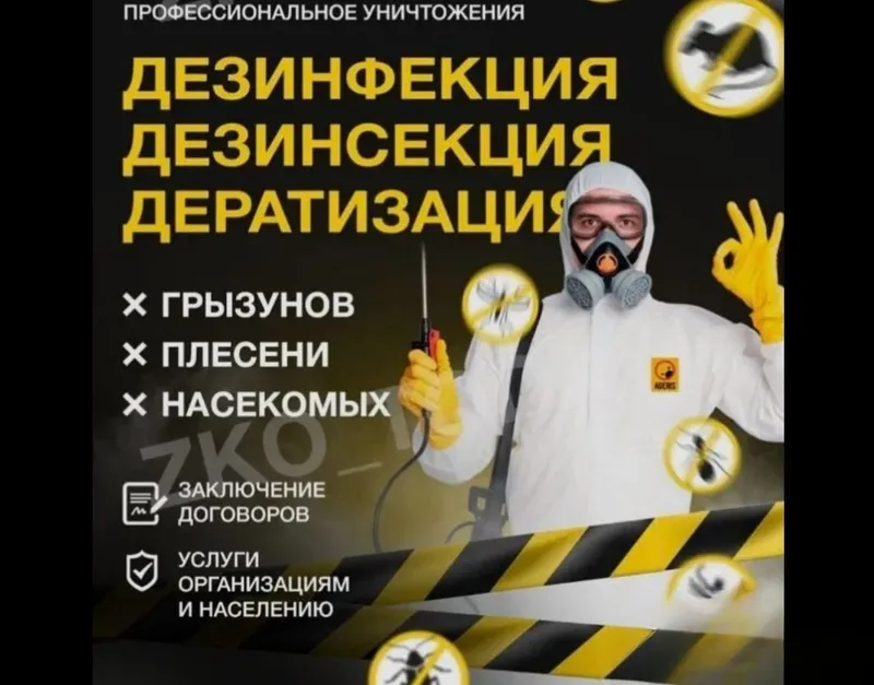 Дезинфекция, дезинфекция 4 Дезинфекция, дезинфекция 4