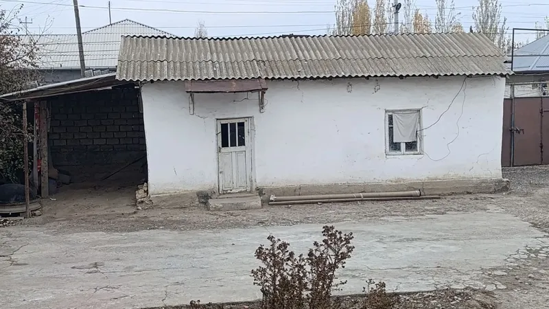 Yer uchaska 2 honasiham bor