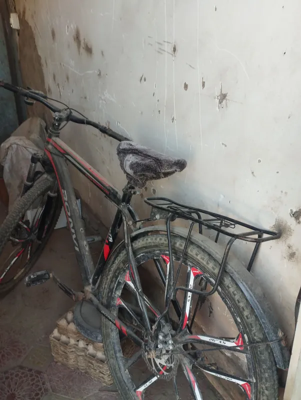 sport velosiped