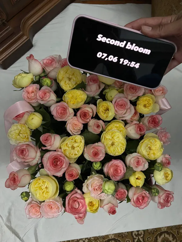 Очень красивый в корзине