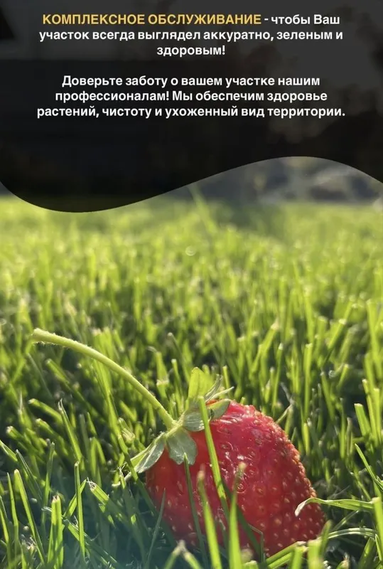 Газон ,автополив,микроклимат,сетка от солнце 8