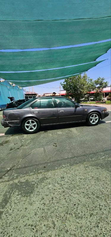 nissan maxima nissan maxima