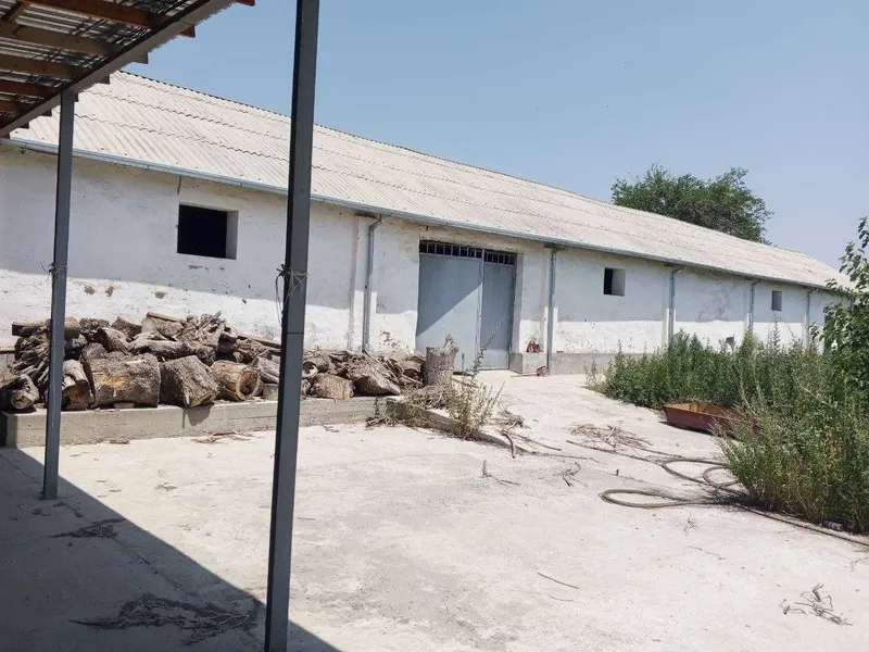 Ferma sotiladi, 13.3 sotx 40 ta buqa yoki ot boqishga mo'ljallangan 6