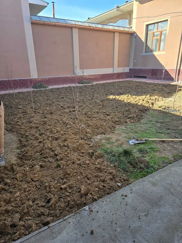 Tayyor gazon gazon urug' poliv ustanovka — фото 2