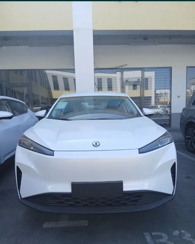 2026.Yil DONGFENG L7 Elektra 530.Km Zapas Xod 8