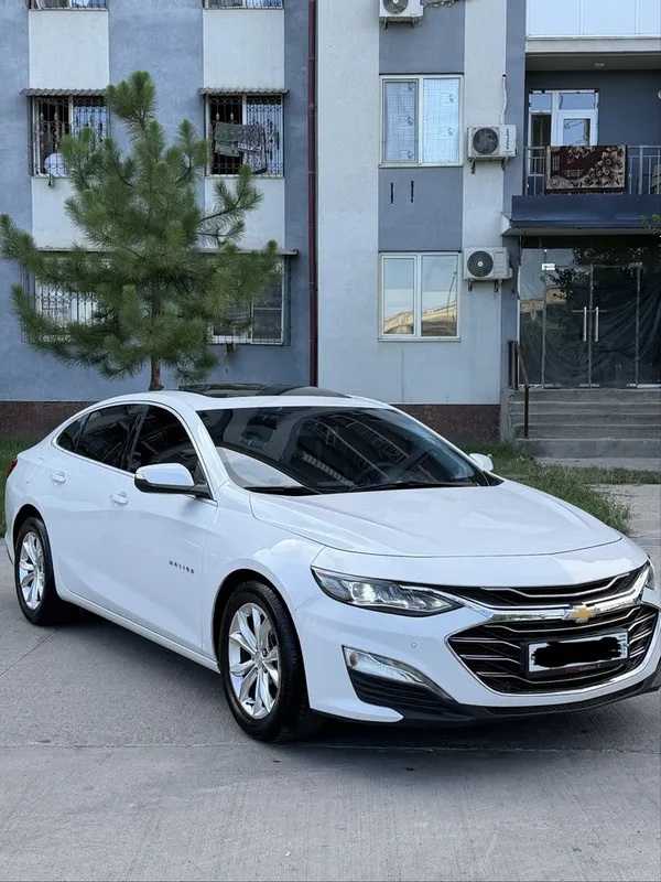 Malibu 2.4 Mator Kraskasi tozza 100% 2 Malibu 2.4 Mator Kraskasi tozza 100% 2