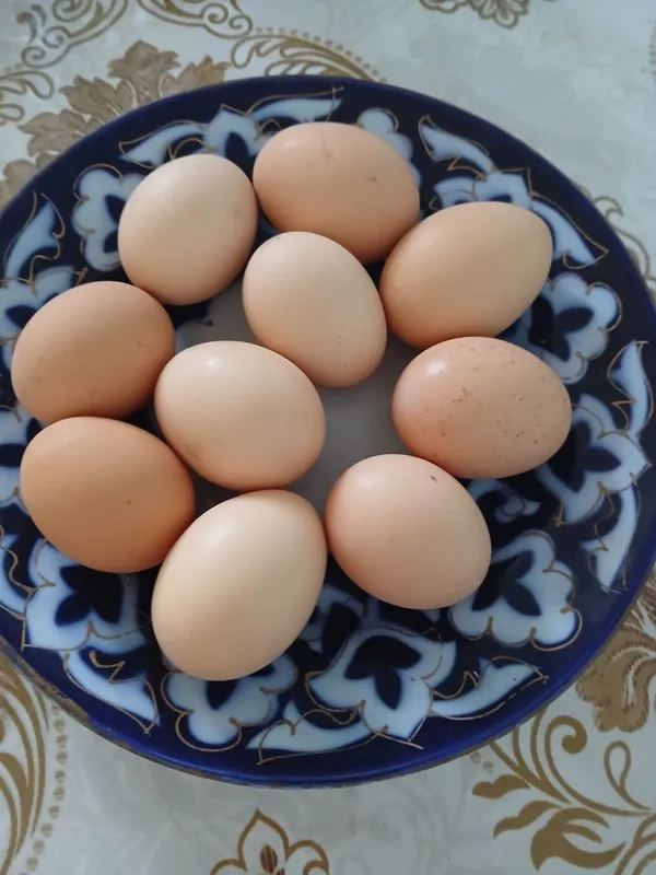 Есть яйца чёрной курицы. 4