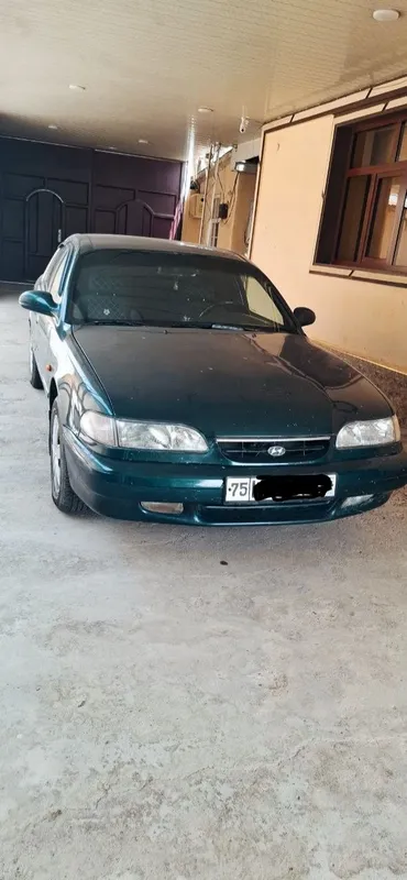 Hunday sanata 1994 y 1 Hunday sanata 1994 y 1
