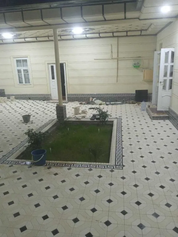 Tez va Sifatli Bruschatka terish va yetkazib berish O'zbekiston Bo'yi 4 Tez va Sifatli Bruschatka terish va yetkazib berish O'zbekiston Bo'yi 4