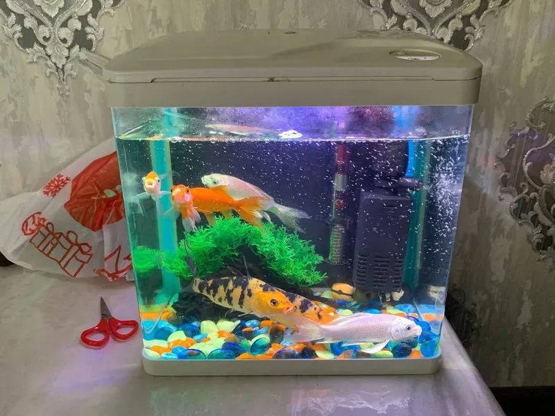 akvarium 15 litr