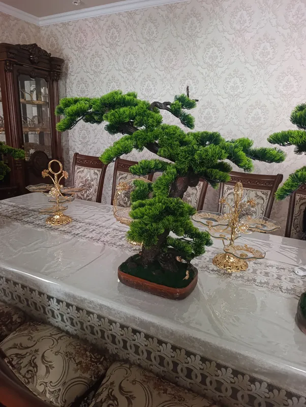 бонсай Японский 3 бонсай Японский 3