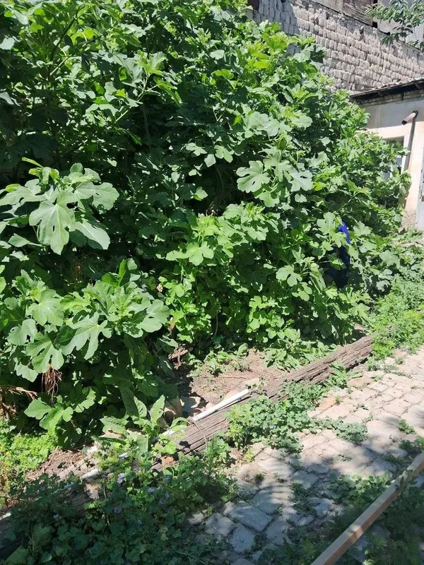 №3945.Продается Дом. 1