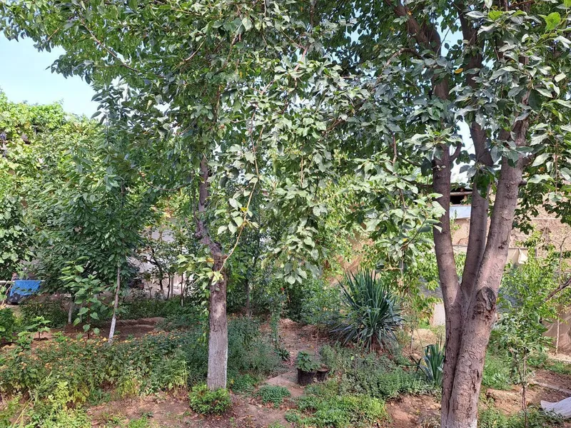 Шошилинч Участка сотилади Samarkand darvoza, Shayxontohur tumani 3.68 — фото 3