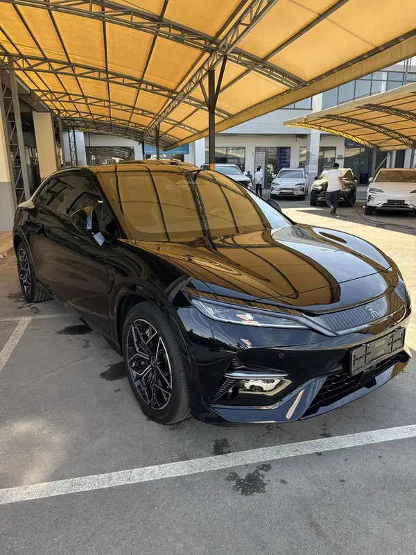 Byd song l 2024 5poz