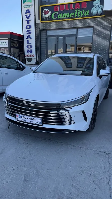 BYD Chazor 2025 yil 120 talik 7